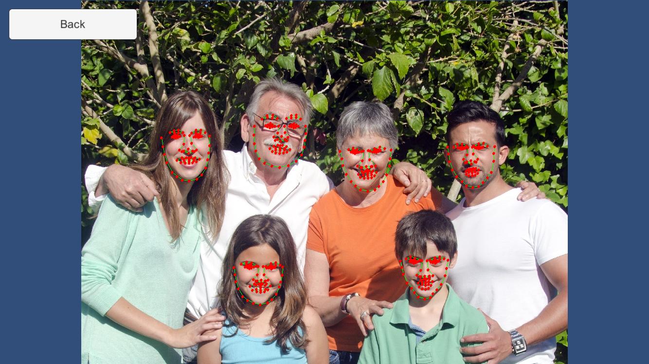 FaceTracker Example