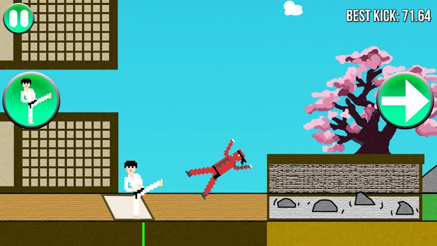 Kung Fu Kick