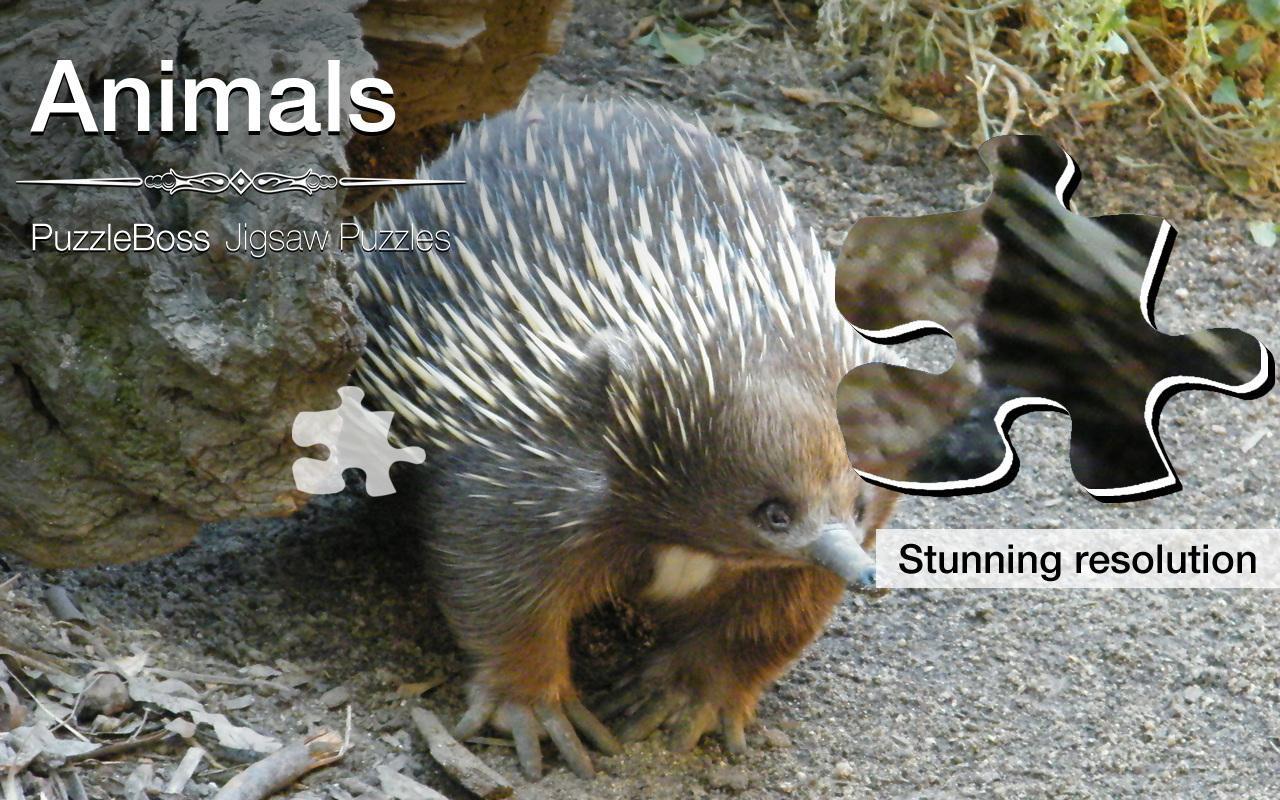 Jigsaw Puzzles: Animals