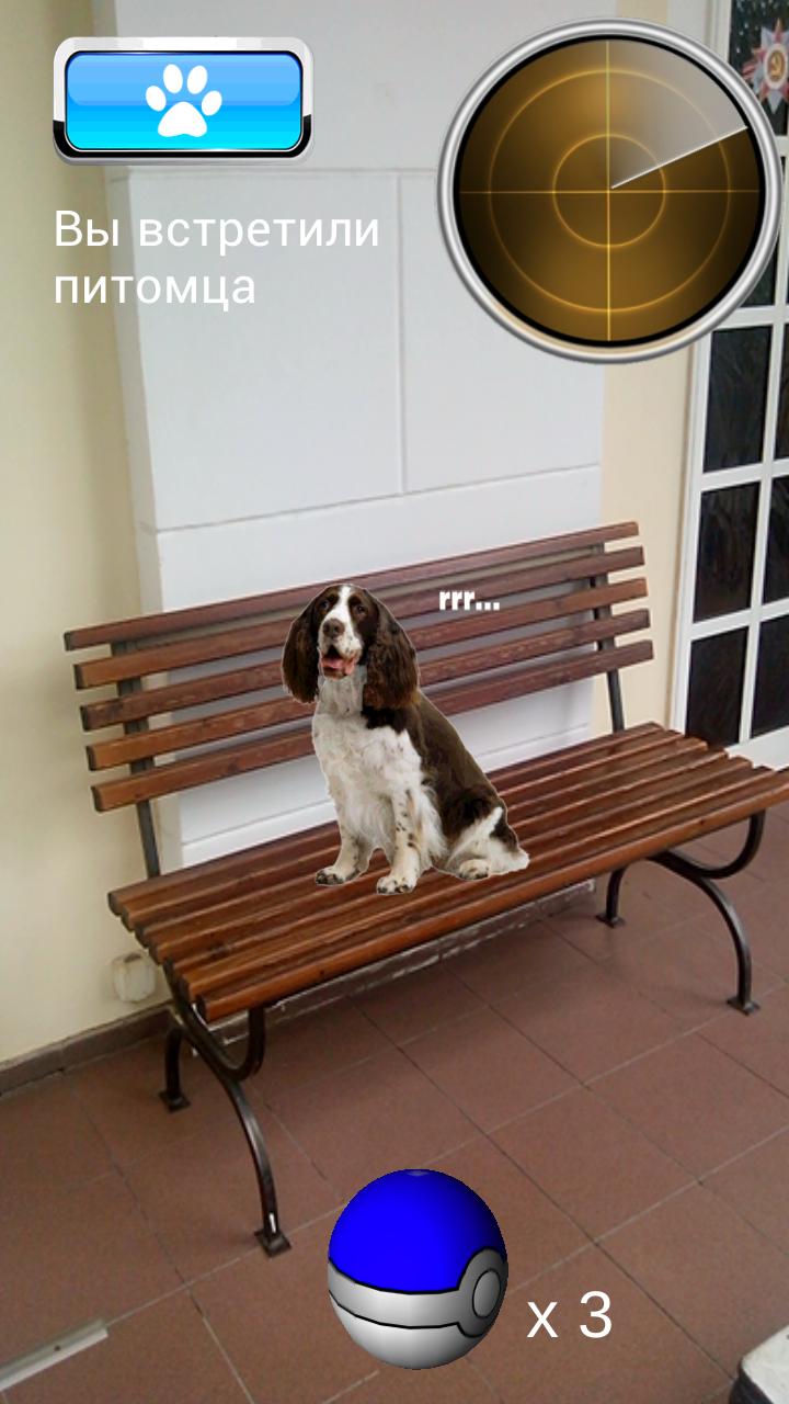 Pokedog GO